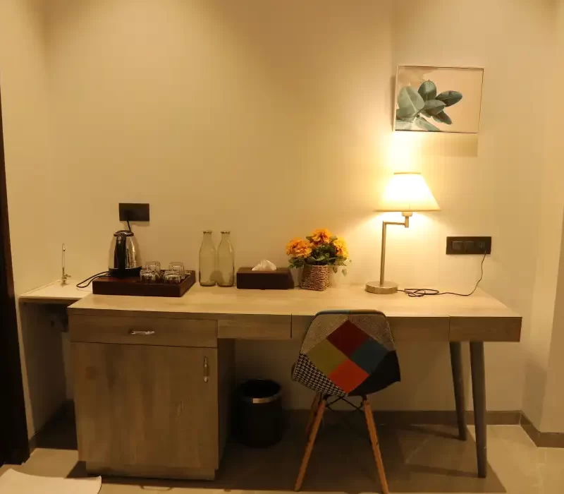 Paraiso Gallery (3)