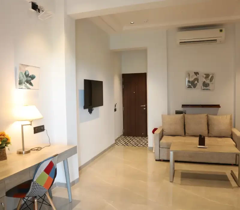 Paraiso Gallery (4)