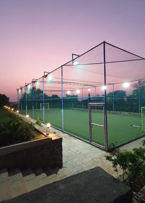 Cricket turf