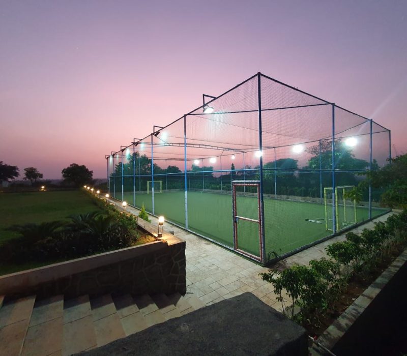 Cricket turf