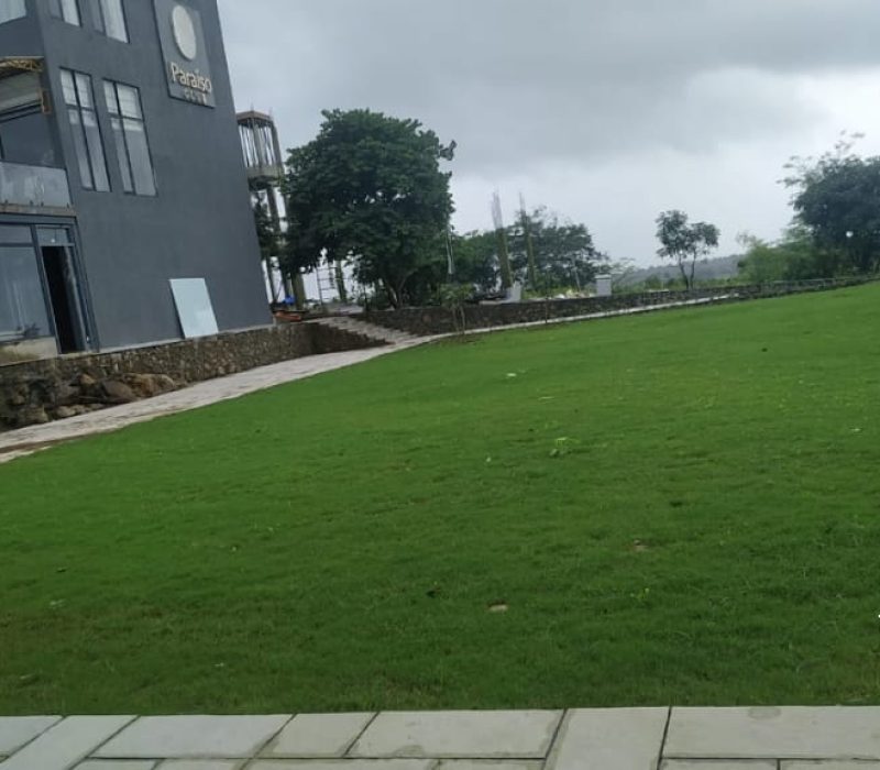 Lawn